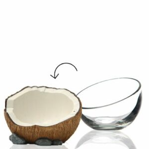 Coupes Bubble – Lot de 6 – H.9 cm Ø12 cm 20 cl