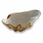 Grand coquillage -lot de 2- 29×19 cm H.9cm
