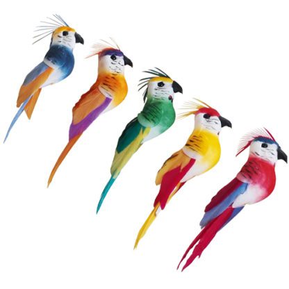 Perroquets Houpette - décors glaces et cocktails oiseau - mondo déco