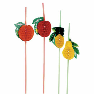 Pailles Fruit GM - Décors glaces et cocktails - mondo déco