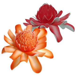 Rose de Porcelaine - décors pour glaces et cocktails - mondo déco