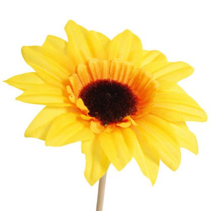Tournesols GM sur pique Ø10,5 cm x250 – Image 3