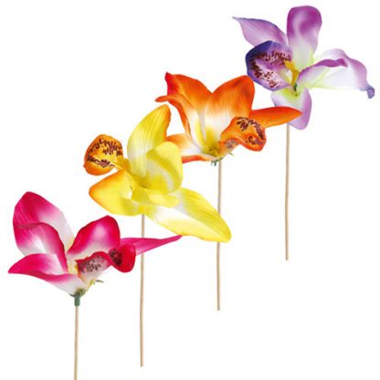 Orchidées Vanda GM - Décors pour glaces et cocktails - mondo déco