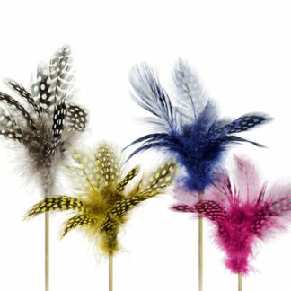 Plumes Wild : 200 pièces - Sur pique en bois - Dimensions hors pique :  H.10 cm - Matière : Bois et plumes Bicolore : Noir et rose, Noir et jaune, Noir et bleu, Noir et blanc - Modèles aléatoires - Collection : Les Plumes - Référence : 7114 - Décoration glaces et cocktail - Mondo Déco entreprise française