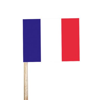 Drapeaux Français / drapeaux France : 250 pièces Sur pique en bois Dimensions hors pique : H. 2,5 cm | L. 3,5 cm Couleurs : bleu, blanc, rouge Matière : papier Référence : 855F Décoration glaces et cocktails - Mondo Déco entreprise française