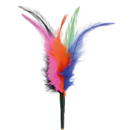 Plumes Phénix : 200 pièces - Sur pique en bois - Dimensions hors pique :  H.10 cm - Matière : Bois et plumes - Couleur : Multicolore - Collection : Les Plumes - Référence : 7339 - Décors glaces et cocktail - Mondo Déco entreprise française