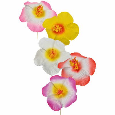 Descriptif des Hibiscus GM  : Fleurs décoratives pour vos glaces et cocktails 250 pièces Dimensions hors pique : Ø 10 cm Sur pique longue en bois Référence : 7137 Matière : Synthétique Couleur : multicolore