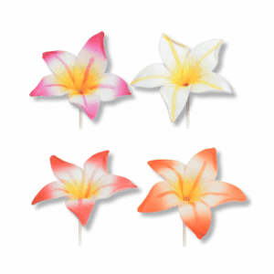 Descriptif des Fleurs Amaryllis GM : Fleurs décoratives pour vos glaces et cocktails 250 pièces Dimensions hors pique : Ø 13 cm Sur pique longue en bois Référence : 7304 Matière : EVA Couleur : multicolore