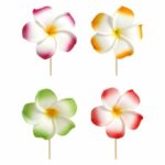 Fleurs de Frangipanier PM sur pique – lot de 250 – Ø7 cm