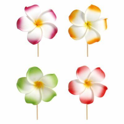 Descriptif des Fleurs de Frangipanier PM : Fleurs décoratives pour vos glaces et cocktails 250 pièces Dimensions hors pique : Ø 7 cm Sur longue pique en bois Référence : 728 Matière : EVA Couleur : multicolore