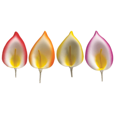 Descriptif des Arums : Fleurs décoratives pour vos glaces et cocktails 250 pièces Dimensions hors pique : Ø 9,5 cm Sur pique courte en bois Référence : 7293 Matière : EVA Couleur : multicolore