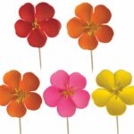 Fleurs des champs sur pique – lot de 250 – Ø 7 cm