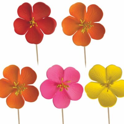 Descriptif des Fleurs des champs  : Fleurs décoratives pour vos glaces et cocktails 250 pièces Dimensions hors pique : Ø 7 cm Sur pique courte en bois Référence : 7294 Matière : EVA Couleur : multicolore