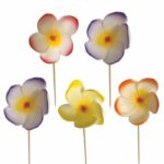 Crocus sur pique- lot de 250 – Ø 7 cm