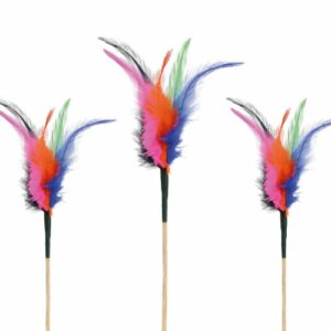 Descriptif des Plumes Phénix sur pique : Plumes décoratives pour vos glaces et cocktails 200 pièces Dimensions hors pique : H 10 cm Sur pique en bois Référence : 7339 Matière : synthétique Couleur : multicolore