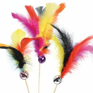Descriptif des Plumes Carnaval sur pique  : Plumes décoratives pour vos glaces et cocktails 200 pièces Dimensions hors pique : H 16,5 cm Sur pique en bois Référence : 7340 Matière : synthétique Couleur : multicolore