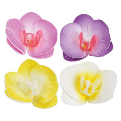 Descriptif des Orchidées GM  : Fleurs décoratives pour vos glaces et cocktails 250 pièces Dimensions hors pique : Ø 10 cm Sur pique longue en bois Référence : 7364 Matière : EVA Couleur : multicolore
