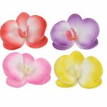 Broches orchidées – lot de 300 – ø 10 cm