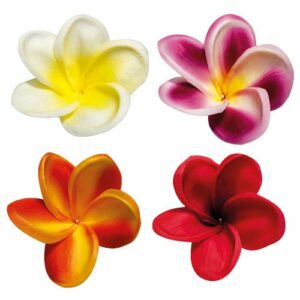 Descriptif des Fleurs Moorea  : Fleurs décoratives pour vos glaces et cocktails 200 pièces Dimensions hors pique : Ø 7,5 cm Sur longue pique en bois Référence : 7464 Matière : EVA Couleur : multicolore