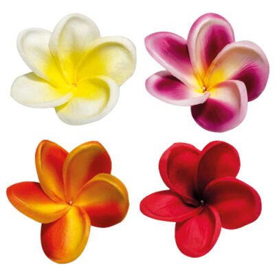 Descriptif des Fleurs Moorea : Fleurs décoratives pour vos glaces et cocktails 200 pièces Dimensions hors pique : Ø 7,5 cm Sur longue pique en bois Référence : 7464 Matière : EVA Couleur : multicolore