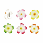 Broches Fleurs de frangipanier – lot de 300 – ø 10 cm