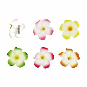 Descriptif des Broches Fleurs de frangipanier : Fleurs décoratives pour vos glaces et cocktails 300 pièces Dimensions : ø 10 cm Sur pince en métal Référence : 795B Matière : EVA Couleur : multicolore