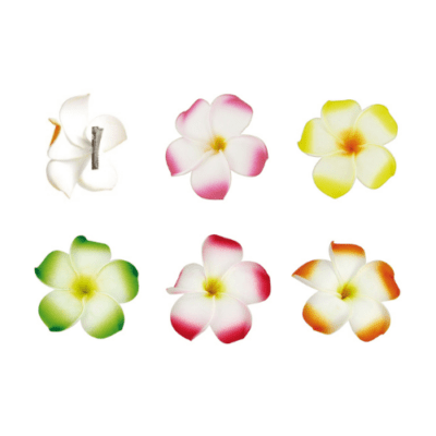 Descriptif des Broches Fleurs de frangipanier : Fleurs décoratives pour vos glaces et cocktails 300 pièces Dimensions : ø 10 cm Sur pince en métal Référence : 795B Matière : EVA Couleur : multicolore