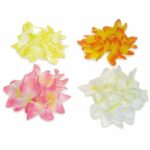 Bracelets Hawaïens – lot de 100 – L 30 cm