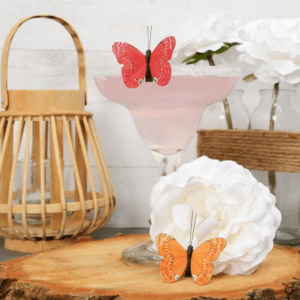 Papillons et oiseaux